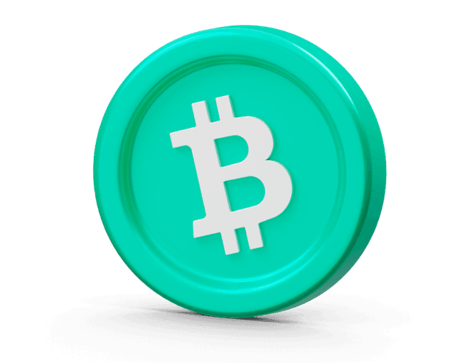 Bitcoin Cash