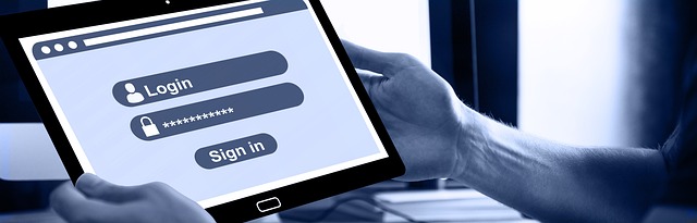 bitsa_seguridad_control_gasto