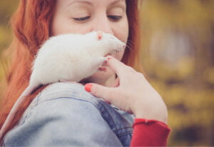 Qué es la carrera de la rata