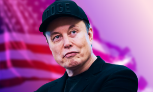 What happened? Elon Musk’s departure from the US government