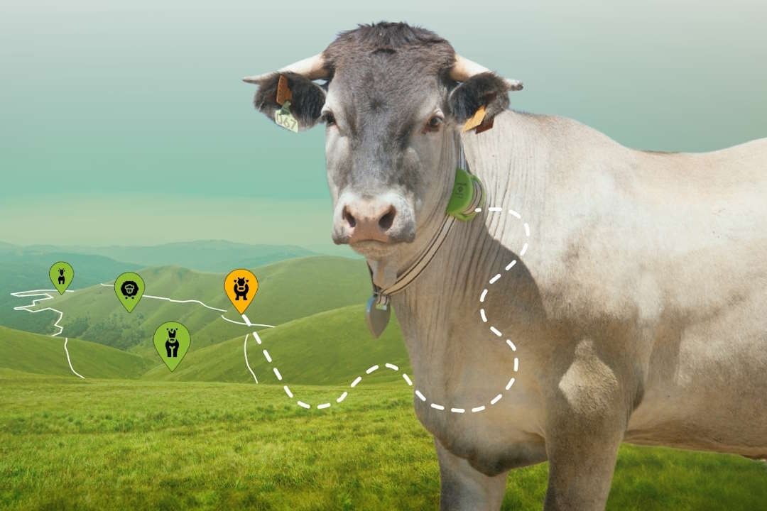 bitsa_blockchain_trazabilidad