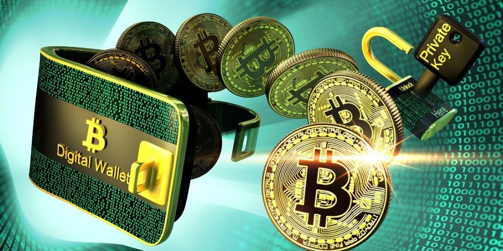 bitsa_stablecoins_daily_payments